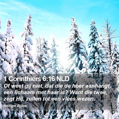 1 Corinthiërs 6:16 NLD Bible Verse Image