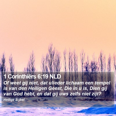 1 Corinthiërs 6:19 NLD Bible Verse Image
