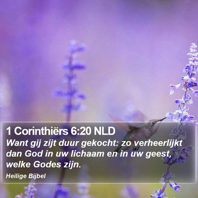 1 Corinthiërs 6:20 NLD Bible Verse Image
