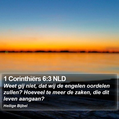 1 Corinthiërs 6:3 NLD Bible Verse Image