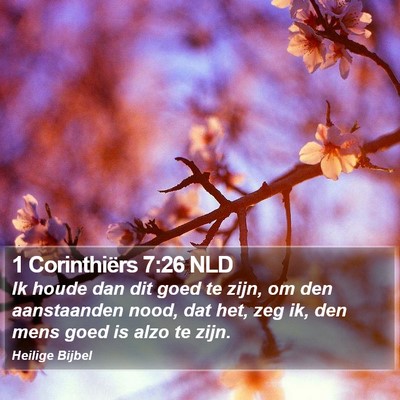 1 Corinthiërs 7:26 NLD Bible Verse Image