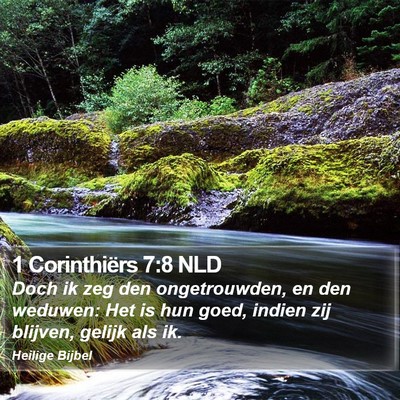 1 Corinthiërs 7:8 NLD Bible Verse Image