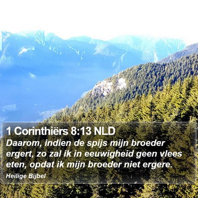 1 Corinthiërs 8:13 NLD Bible Verse Image