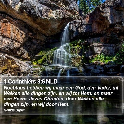 1 Corinthiërs 8:6 NLD Bible Verse Image