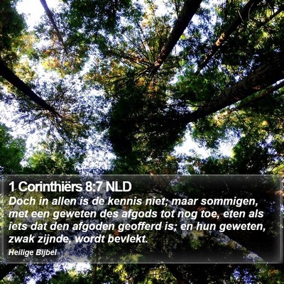 1 Corinthiërs 8:7 NLD Bible Verse Image