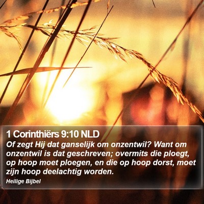 1 Corinthiërs 9:10 NLD Bible Verse Image