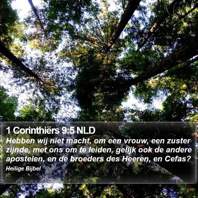 1 Corinthiërs 9:5 NLD Bible Verse Image