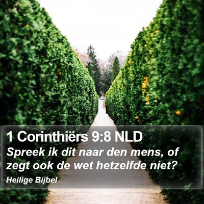 1 Corinthiërs 9:8 NLD Bible Verse Image