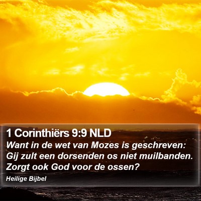 1 Corinthiërs 9:9 NLD Bible Verse Image