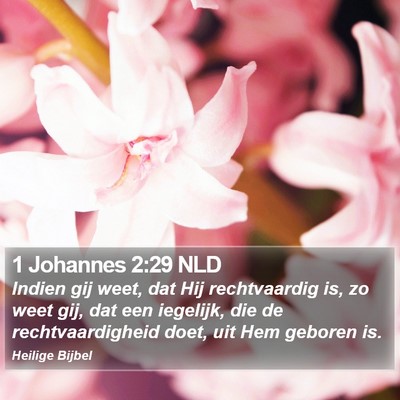 1 Johannes 2:29 NLD Bible Verse Image