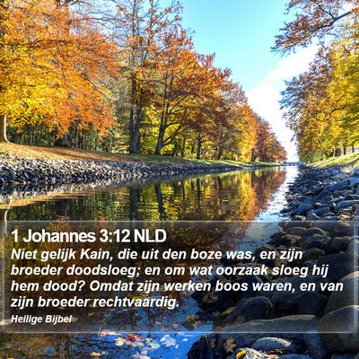 1 Johannes 3:12 NLD Bible Verse Image