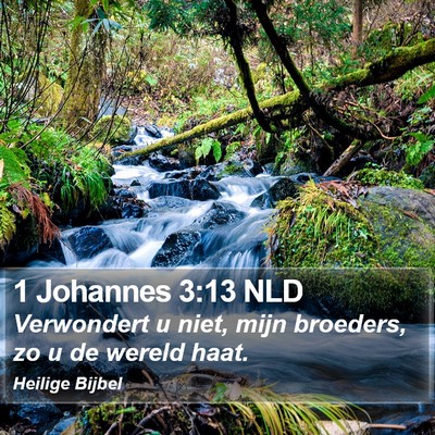 1 Johannes 3:13 NLD Bible Verse Image