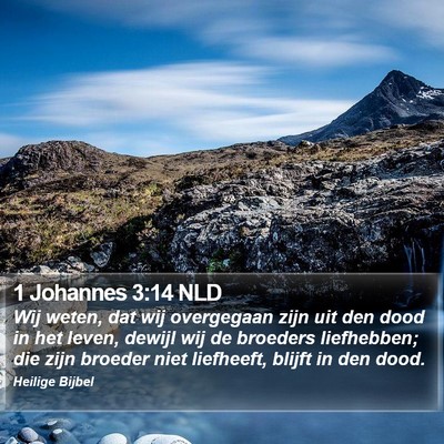 1 Johannes 3:14 NLD Bible Verse Image