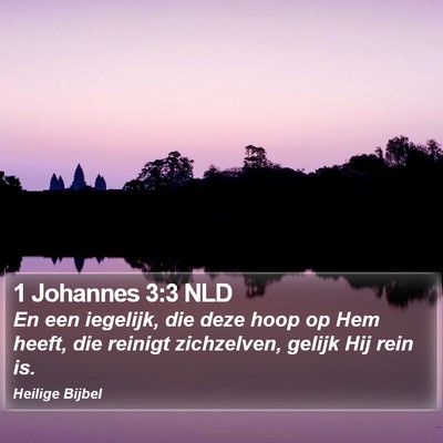 1 Johannes 3:3 NLD Bible Verse Image
