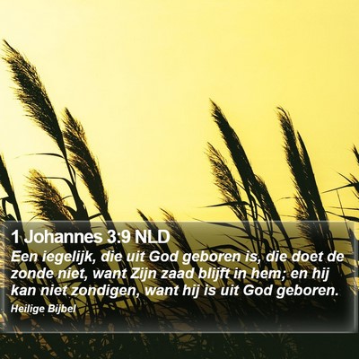 1 Johannes 3:9 NLD Bible Verse Image