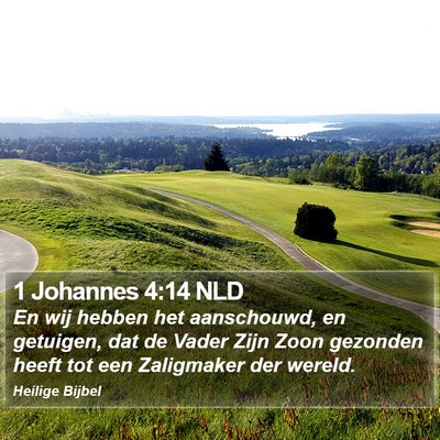 1 Johannes 4:14 NLD Bible Verse Image