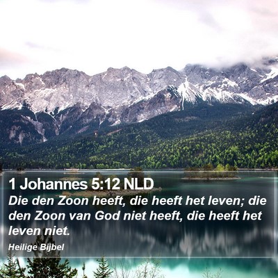 1 Johannes 5:12 NLD Bible Verse Image