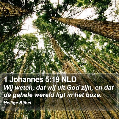 1 Johannes 5:19 NLD Bible Verse Image