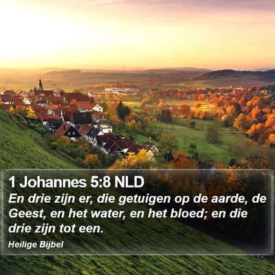 1 Johannes 5:8 NLD Bible Verse Image