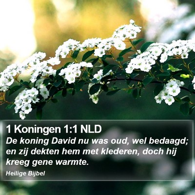 1 Koningen 1:1 NLD Bible Verse Image