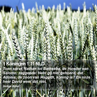 1 Koningen 1:11 NLD Bible Verse Image
