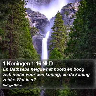 1 Koningen 1:16 NLD Bible Verse Image