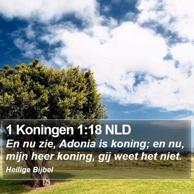 1 Koningen 1:18 NLD Bible Verse Image