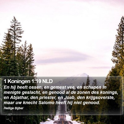 1 Koningen 1:19 NLD Bible Verse Image
