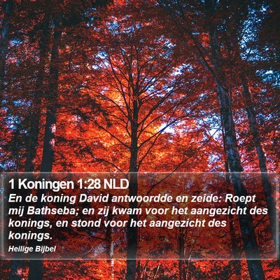 1 Koningen 1:28 NLD Bible Verse Image