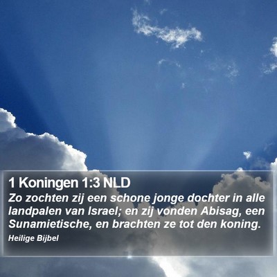 1 Koningen 1:3 NLD Bible Verse Image