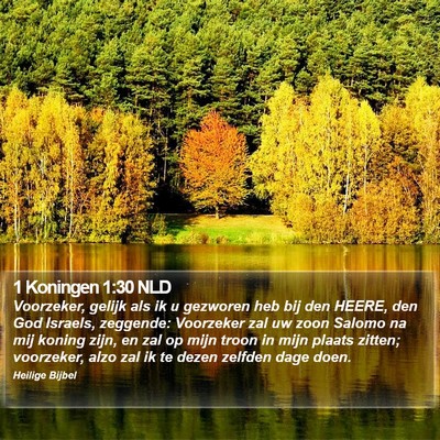 1 Koningen 1:30 NLD Bible Verse Image