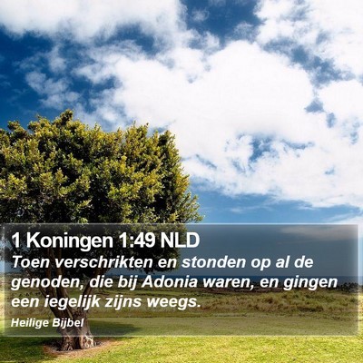 1 Koningen 1:49 NLD Bible Verse Image