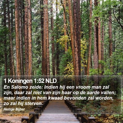 1 Koningen 1:52 NLD Bible Verse Image