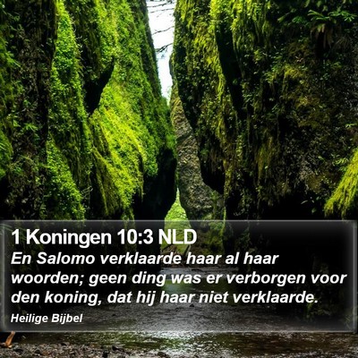 1 Koningen 10:3 NLD Bible Verse Image