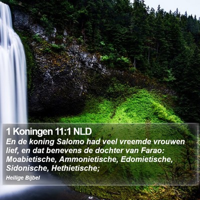 1 Koningen 11:1 NLD Bible Verse Image