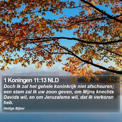 1 Koningen 11:13 NLD Bible Verse Image