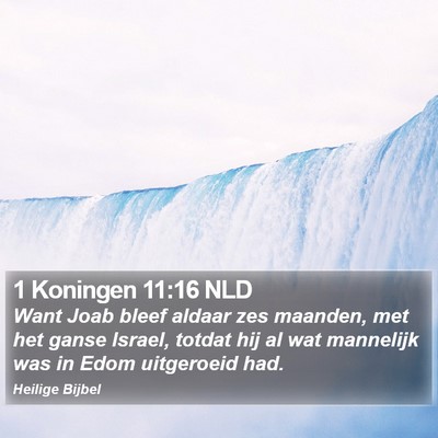1 Koningen 11:16 NLD Bible Verse Image