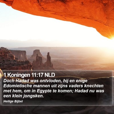 1 Koningen 11:17 NLD Bible Verse Image