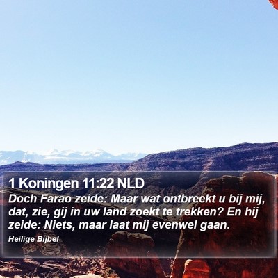 1 Koningen 11:22 NLD Bible Verse Image