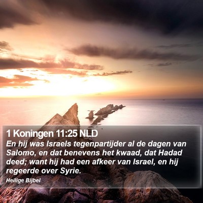 1 Koningen 11:25 NLD Bible Verse Image