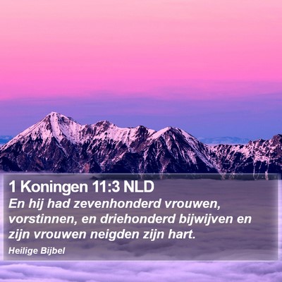 1 Koningen 11:3 NLD Bible Verse Image