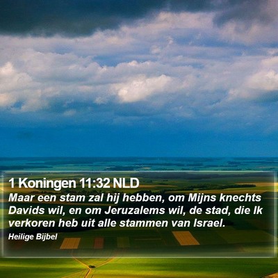 1 Koningen 11:32 NLD Bible Verse Image