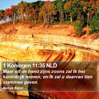 1 Koningen 11:35 NLD Bible Verse Image