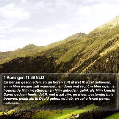 1 Koningen 11:38 NLD Bible Verse Image
