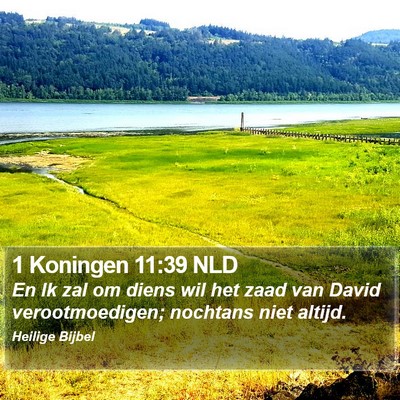 1 Koningen 11:39 NLD Bible Verse Image