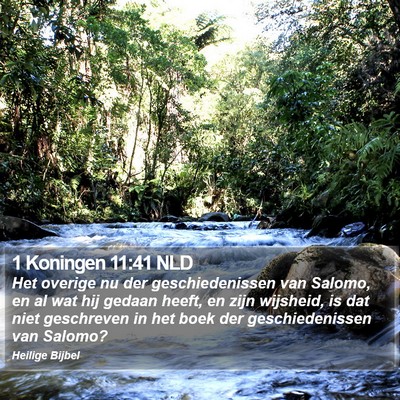 1 Koningen 11:41 NLD Bible Verse Image