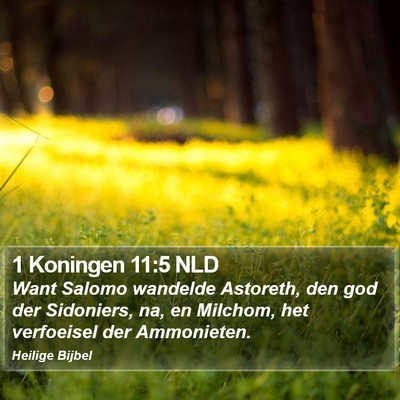 1 Koningen 11:5 NLD Bible Verse Image