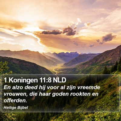1 Koningen 11:8 NLD Bible Verse Image