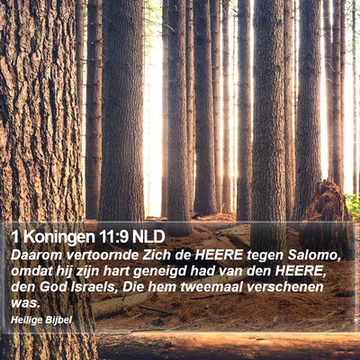 1 Koningen 11:9 NLD Bible Verse Image
