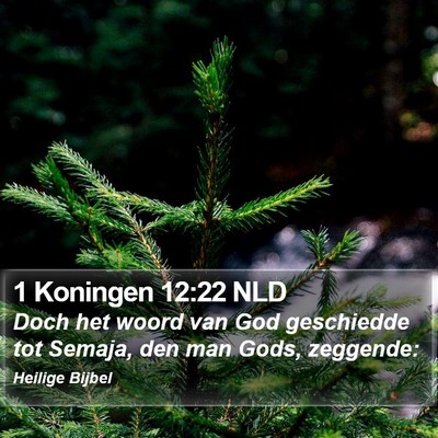1 Koningen 12:22 NLD Bible Verse Image